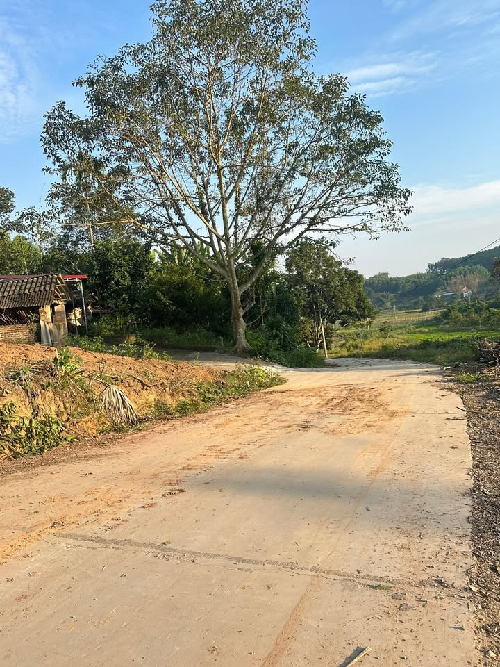 Đất nền Tam Tiến, Yên Thế 150m² giá 400 triệu - Đầu tư sinh lời cao!