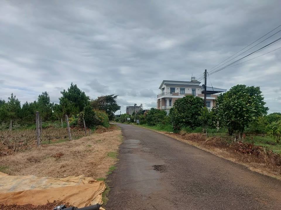 Đất mặt tiền Trần Nhật Duật, Bảo Lộc 140m² giá 2.4 tỷ - Sổ hồng chính chủ!