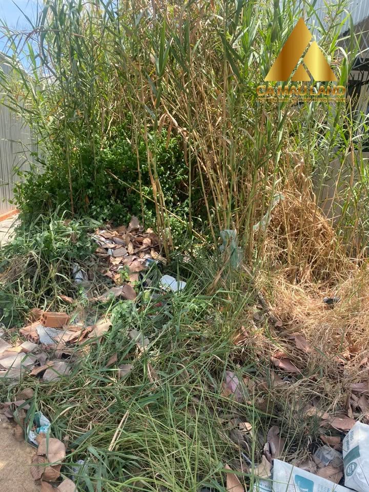 Đất mặt tiền đường Tạ Uyên, Cà Mau 96m² - Kinh doanh thuận lợi, giá tốt!