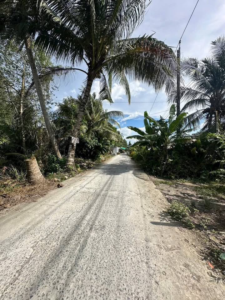 Đất vườn 12,600m² tại Thạnh Hoà 2, Hậu Giang - Cơ hội đầu tư giá tốt!