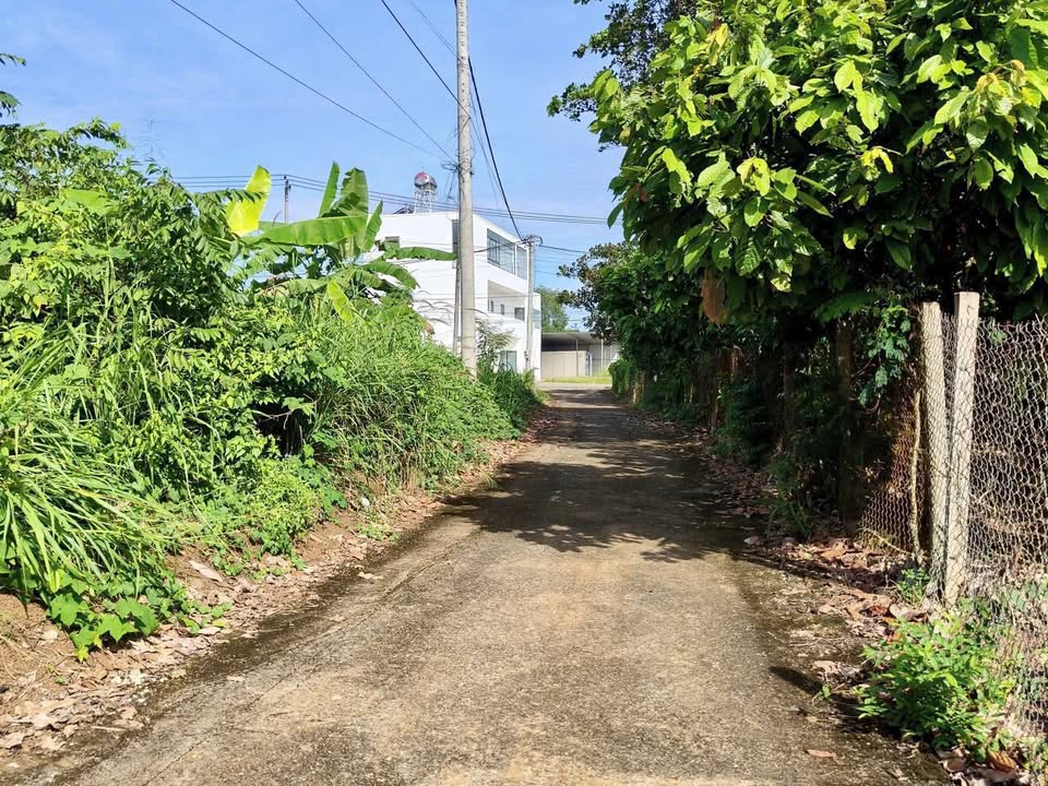 Đất thổ cư 150m² tại xã Láng Lớn, Châu Đức chỉ 650 triệu - Cơ hội đầu tư tuyệt vời!