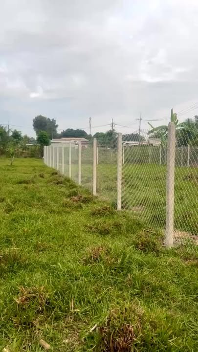 Đất vườn 337m² tại ấp Thượng, Tân Thông Hội, Củ Chi - Giá chỉ 1.5 tỷ, thương lượng ngay!