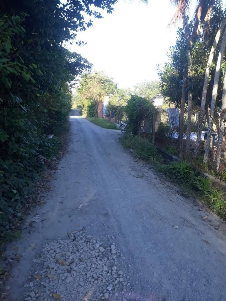 Đất nền An Phú, Trảng Bàng 145m² giá 800 triệu - Cơ hội đầu tư lý tưởng!