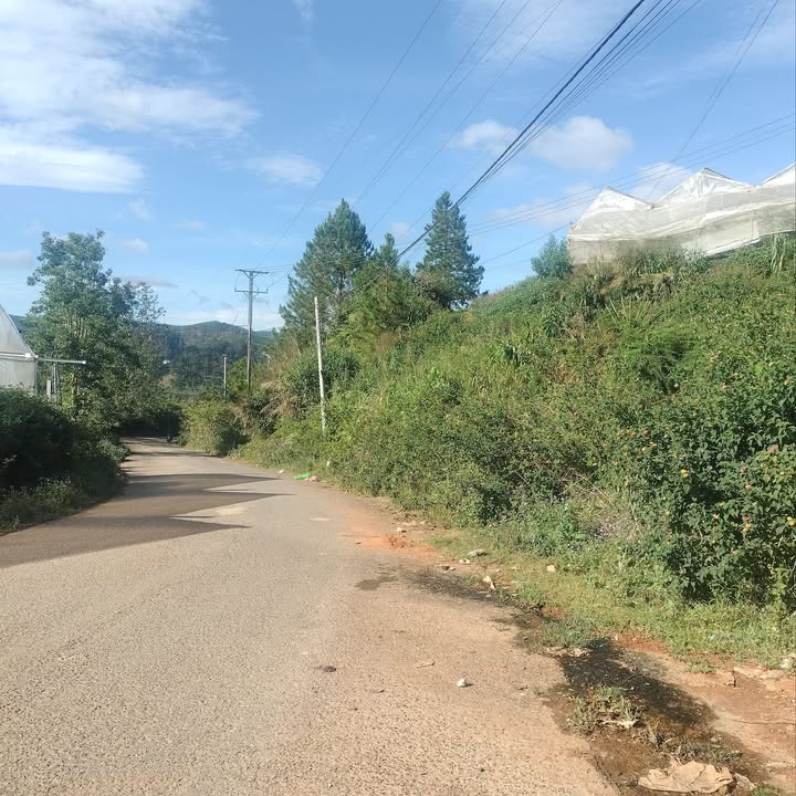 Đất vườn Lạc Dương 5800m² giá 1.5 tỷ - Đường lớn ô tô vào tận nơi!