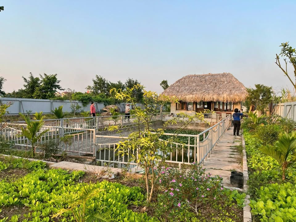 Bán đất trồng cây 1.548m² tại Lệ Chi, Gia Lâm - Đầu tư lý tưởng!