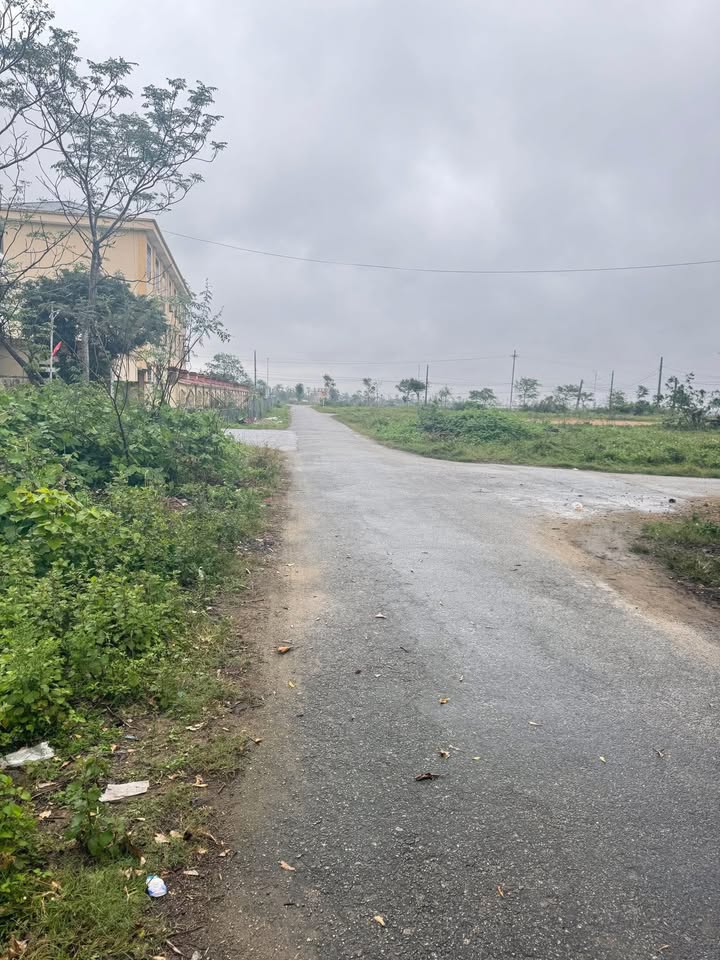 Đất nền Tổ dân phố 5, thị trấn Xuân An, 194m² - Đường 2 ô tô tránh nhau thoải mái!