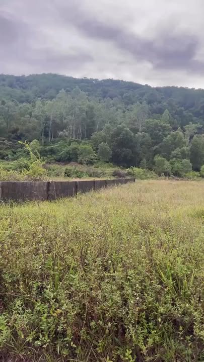 Đất nền mặt đường tránh QL Thôn 2 - Xuân Lĩnh 504m² giá 3 tỷ - Cơ hội đầu tư hấp dẫn!