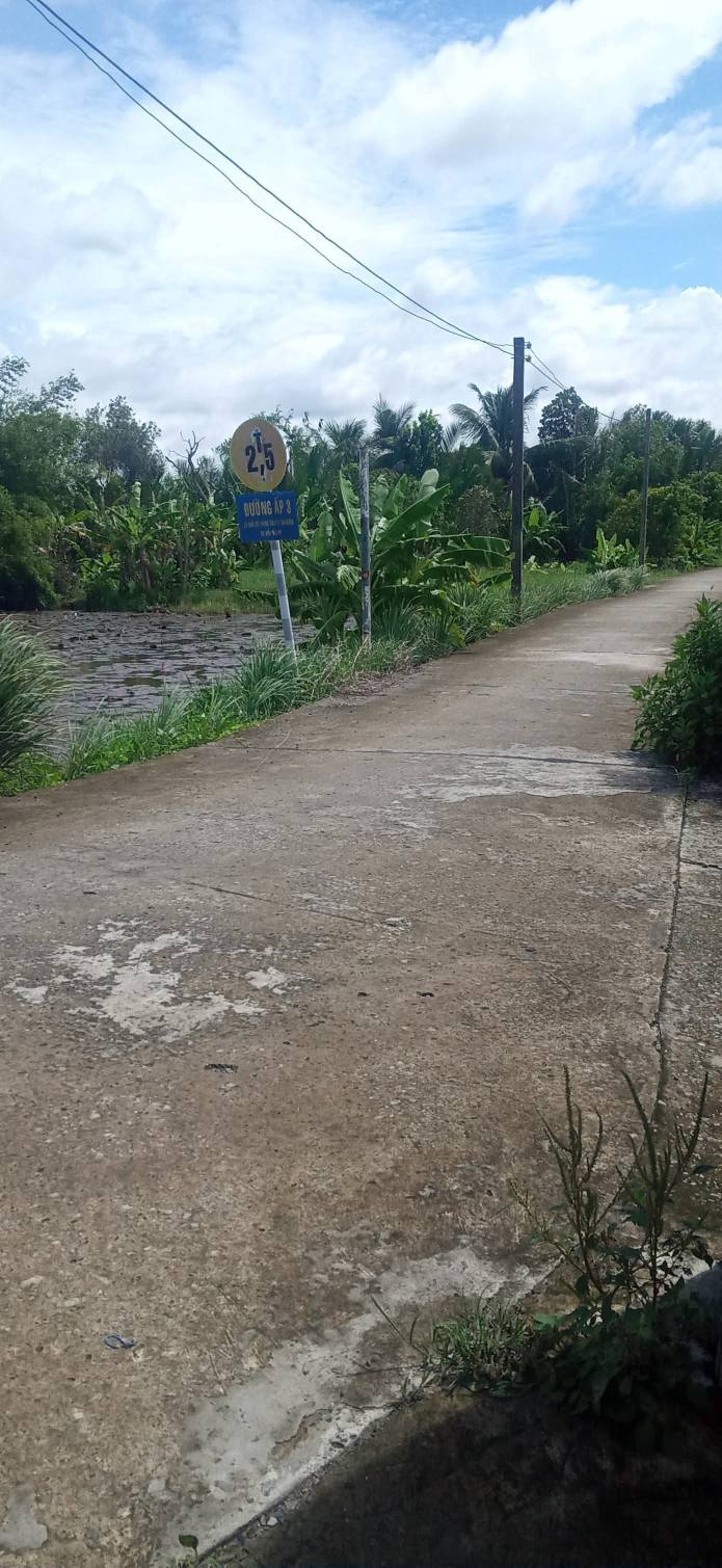 Đất nền thổ cư mặt tiền đường đan ô tô 102m² giá 650 triệu - Đầu tư sinh lời ngay!