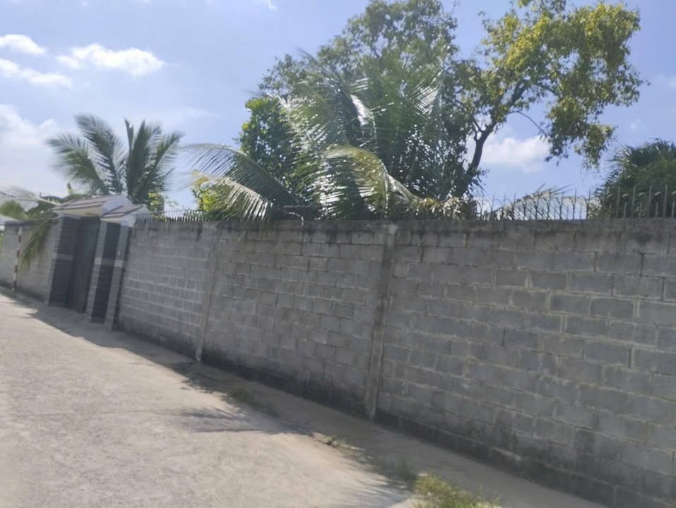 Farm nghỉ dưỡng Đại Phước Nhơn Trạch 646m² - Giá thỏa thuận hấp dẫn!