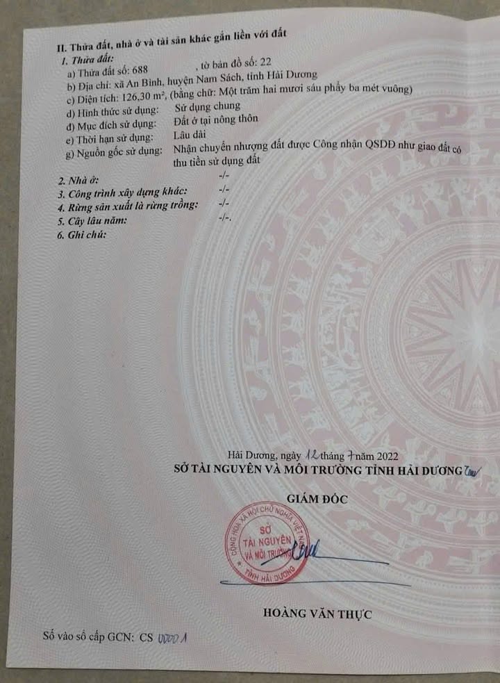 Lô đất thổ cư 126m² An Đoài - Cơ hội đầu tư sinh lời hấp dẫn!