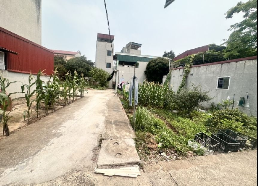 Đất nền Dương Xá, Gia Lâm 52m² giá 3 tỷ - Đầu tư sinh lời vượt trội!