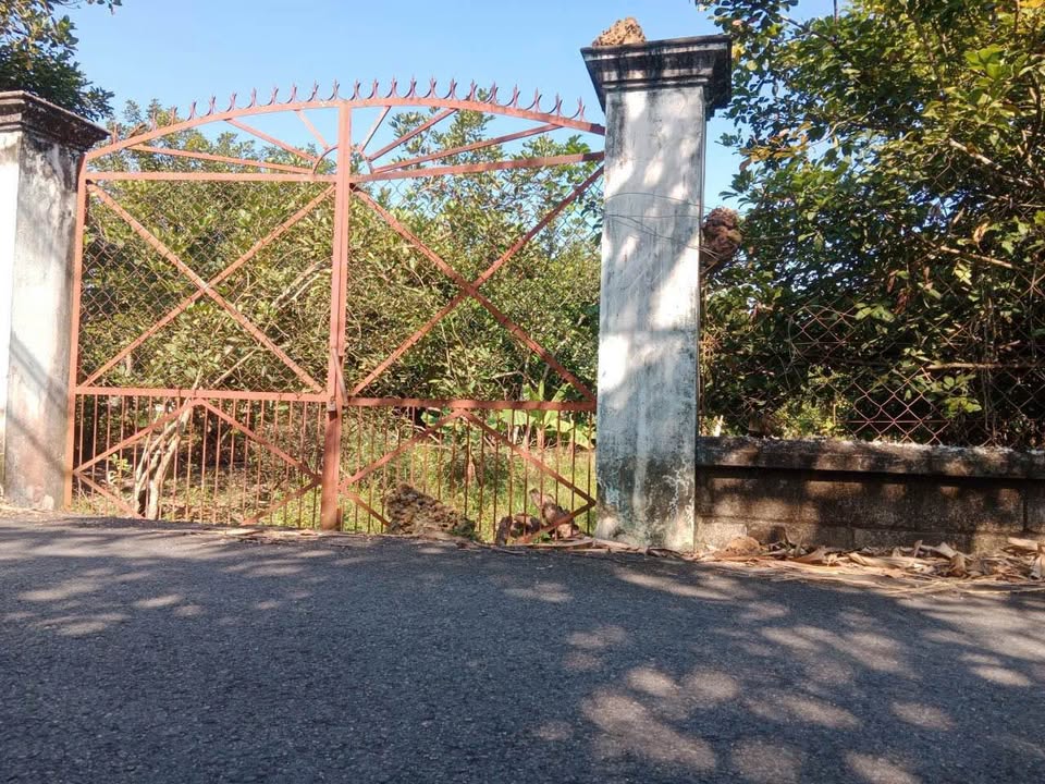 Đất nền xã Bình Mỹ, Củ Chi 1114m² giá 3.65 tỷ - Cơ hội đầu tư tuyệt vời!