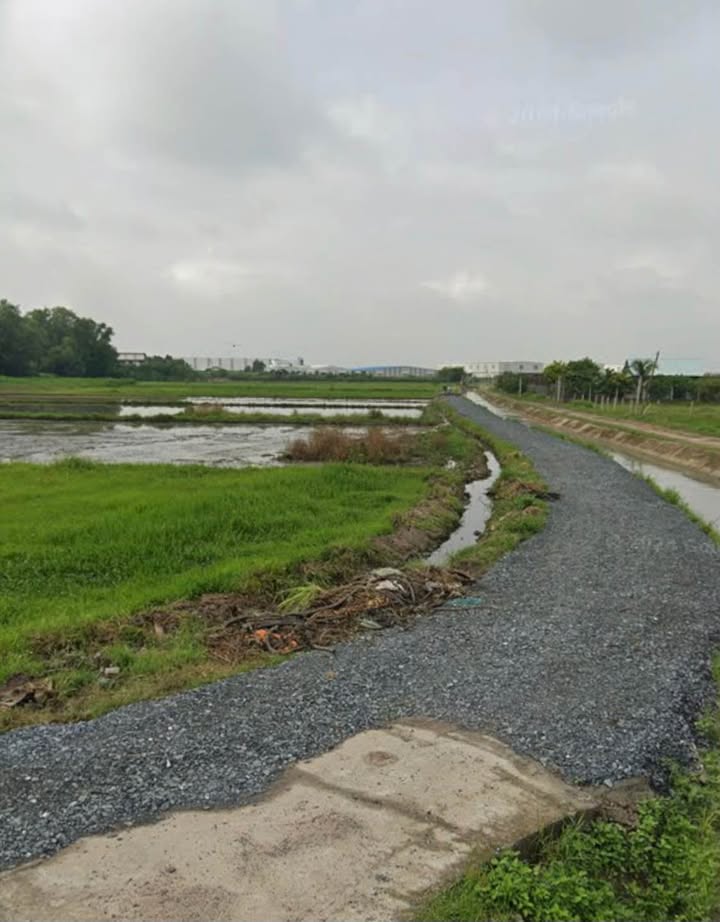 Đất nền Tân Thông Hội 3100m² chỉ 5.27 tỷ - Cơ hội đầu tư lý tưởng!