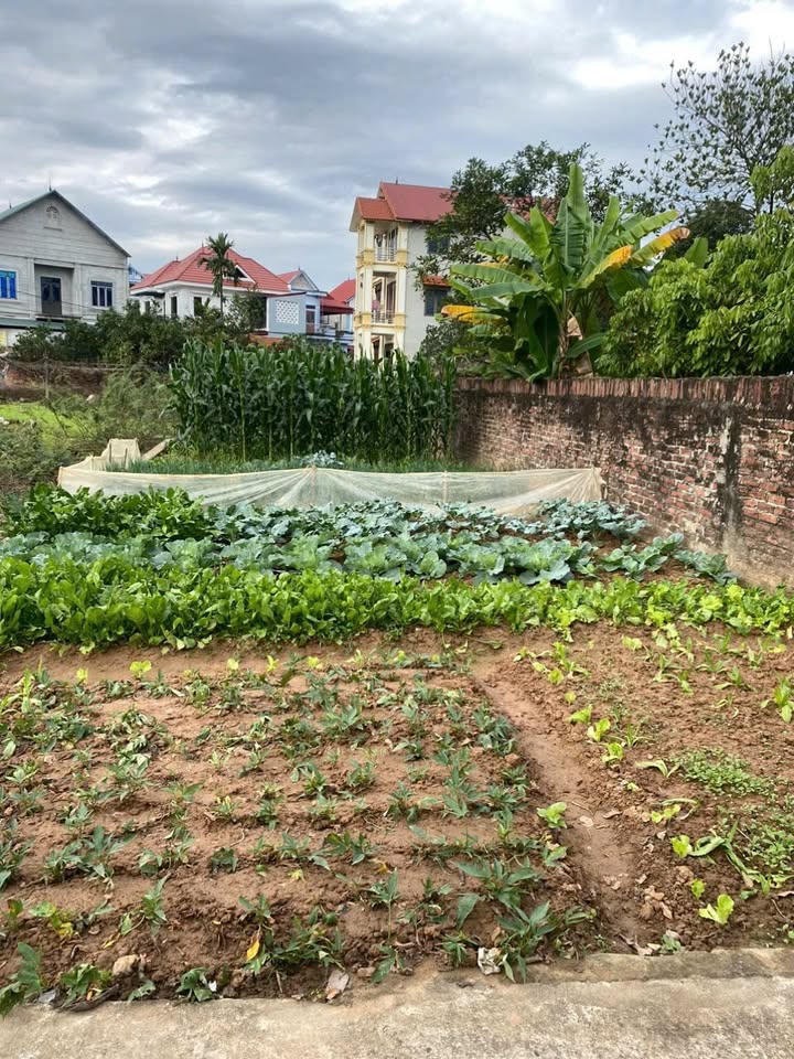 Đất nền Đa Phúc, Đông Anh 104m² giá 2 tỷ - Vị trí vàng, pháp lý rõ ràng!