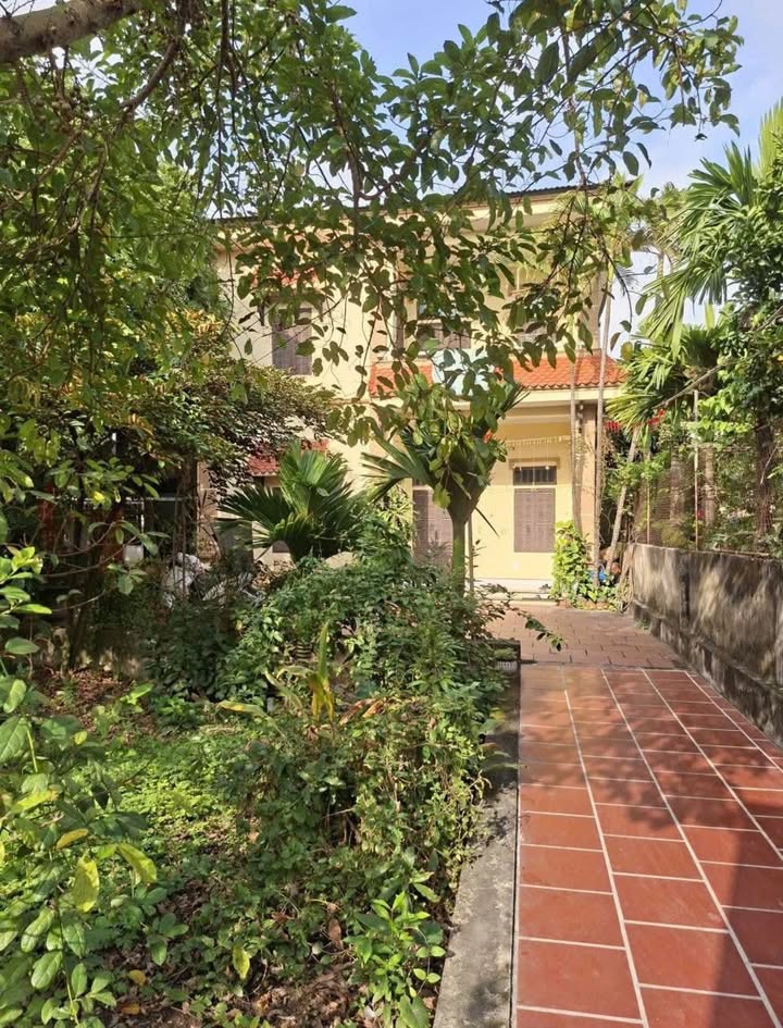 Nhà vườn 2 tầng Phường Nam Thành 350m² giá 7 tỷ - Cơ hội đầu tư tuyệt vời!