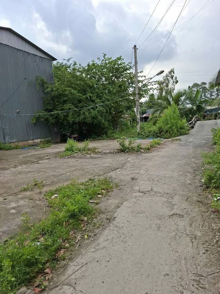 Đất cây lâu năm Cù Lao Giêng 787,9m² giá 850 triệu - Đầu tư sinh lời ngay!