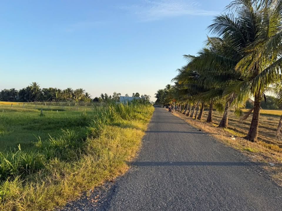 Đất nền Ấp 1, xã Mỹ Thạnh Đông, huyện Đức Huệ, 1042m² - Đầu tư sinh lời ngay!