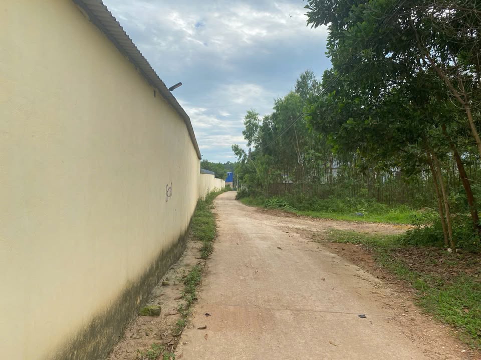 Đất nền đẹp tại xã Minh Đức, Phổ Yên, Thái Nguyên 476,1m² - Giao dịch nhanh chóng!