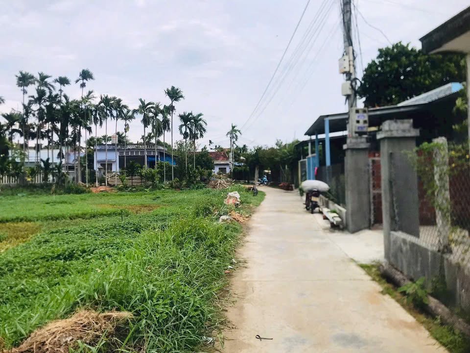 Đất nền Phước Hiệp, Tuy Phước 790m² - Ô tô vào tận nơi, giá thỏa thuận!