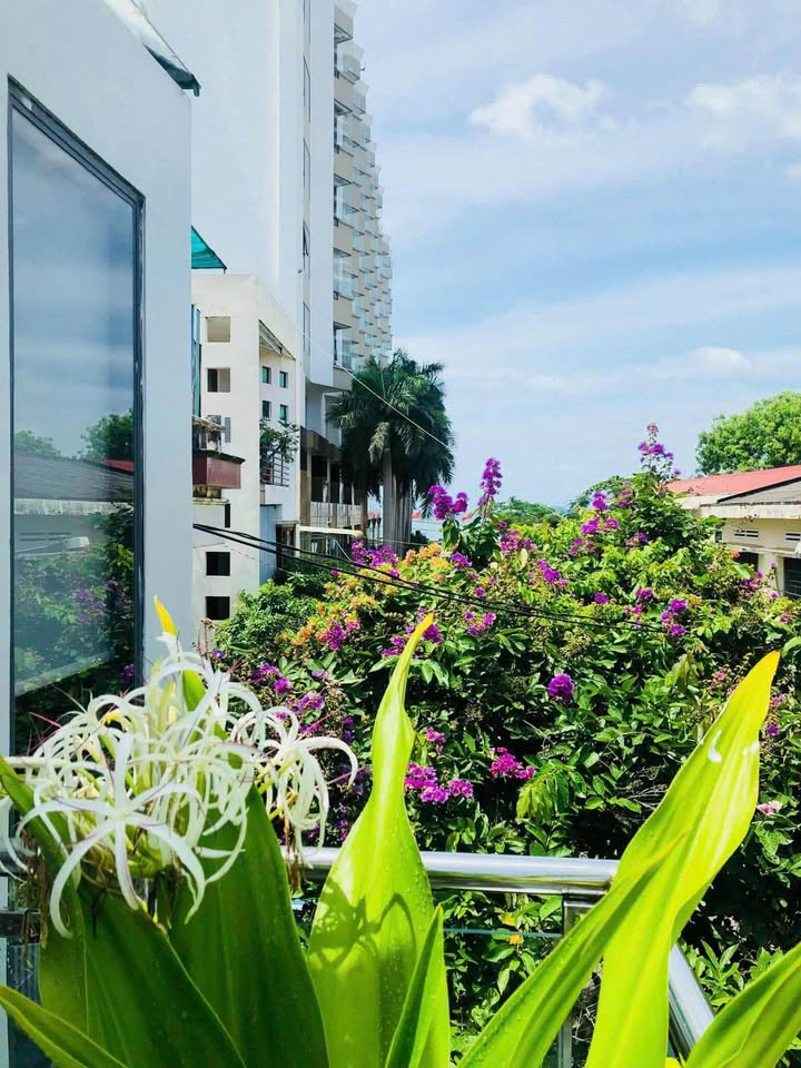 Nhà phố Lê Lợi, Quy Nhơn 42m² giá 6 tỷ - Cách biển chỉ 200m!