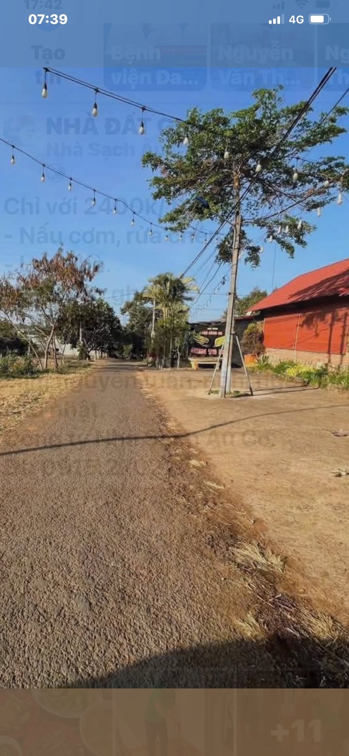 Nhà vườn cho thuê tại hẻm 196 Lê Thánh Tôn, Gia Lai - Diện tích 1500m², chỉ 15 triệu/tháng!