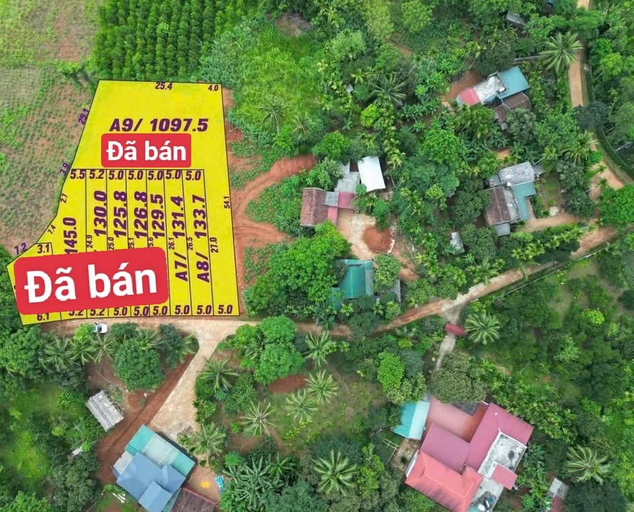 Đất nền Kiên Thọ, Ngọc Lặc 90m² giá 100 triệu - Cơ hội đầu tư tiềm năng!