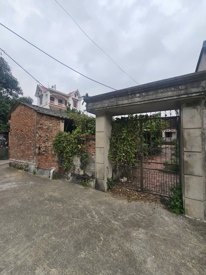 Đất thổ cư 268.2m² tại thôn Đồng, xã Song Mai giá 3.5 tỷ - Đường ô tô vào tận nơi!