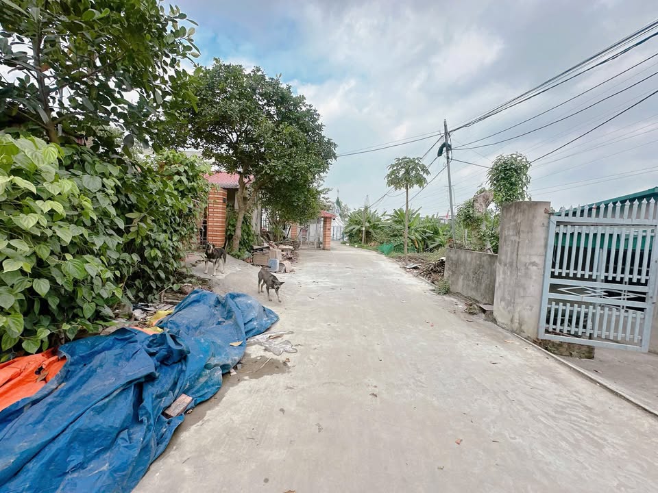 Đất Khu 4B Vân Phú 353m² giá chỉ 2.824 tỷ - Tiềm năng đầu tư lớn!