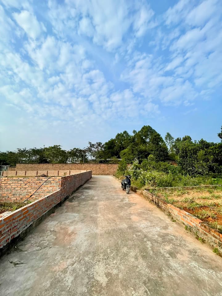 Đất nền Vân Phú, Việt Trì 79.7m² giá 1.6 tỷ - Đầu tư sinh lời ngay!