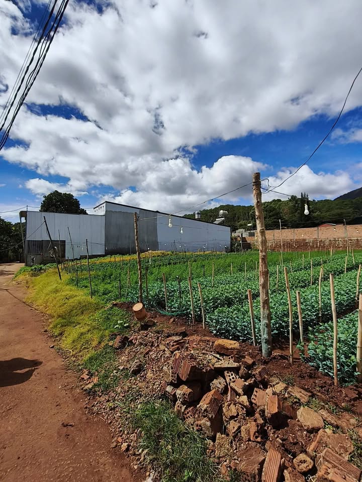 Đất nền xã Hiệp An 168m² giá 1.25 tỷ - Cách QL20 chỉ 90m, thuận tiện cho đầu tư!