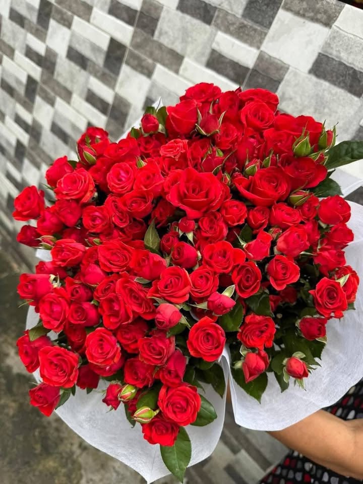 Đất nền Quảng Yên 140m² giá 1.1 tỷ - Phù hợp ở và kinh doanh!