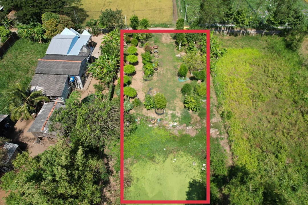 Đất nền mặt đường nhựa Ấp Sóc Ruộng, Ngũ Lạc - 1605m² giá 1.73 tỷ - Cơ hội đầu tư hấp dẫn!