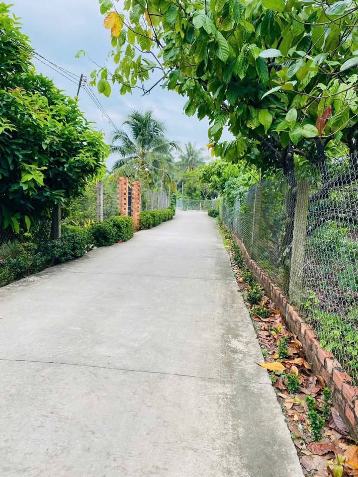 Đất nền biệt thự Phú Túc Châu Thành 500m² giá chỉ 990 triệu - Xây dựng ngay!