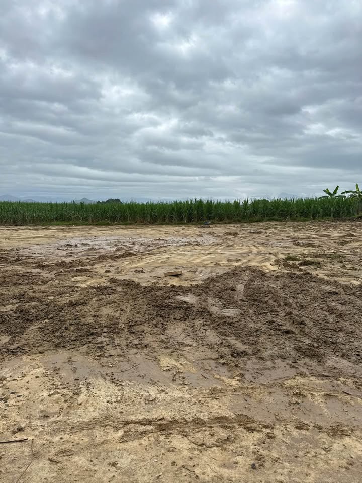 Đất thổ cư Diên Phước 147m² giá 795 triệu - Vị trí đẹp, sẵn sàng xây dựng!