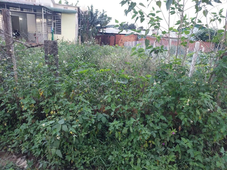 Đất thổ cư Hiệp Thạnh, Đức Trọng 135m² giá 1.35 tỷ - Mặt tiền đường lớn, sổ hồng chính chủ!