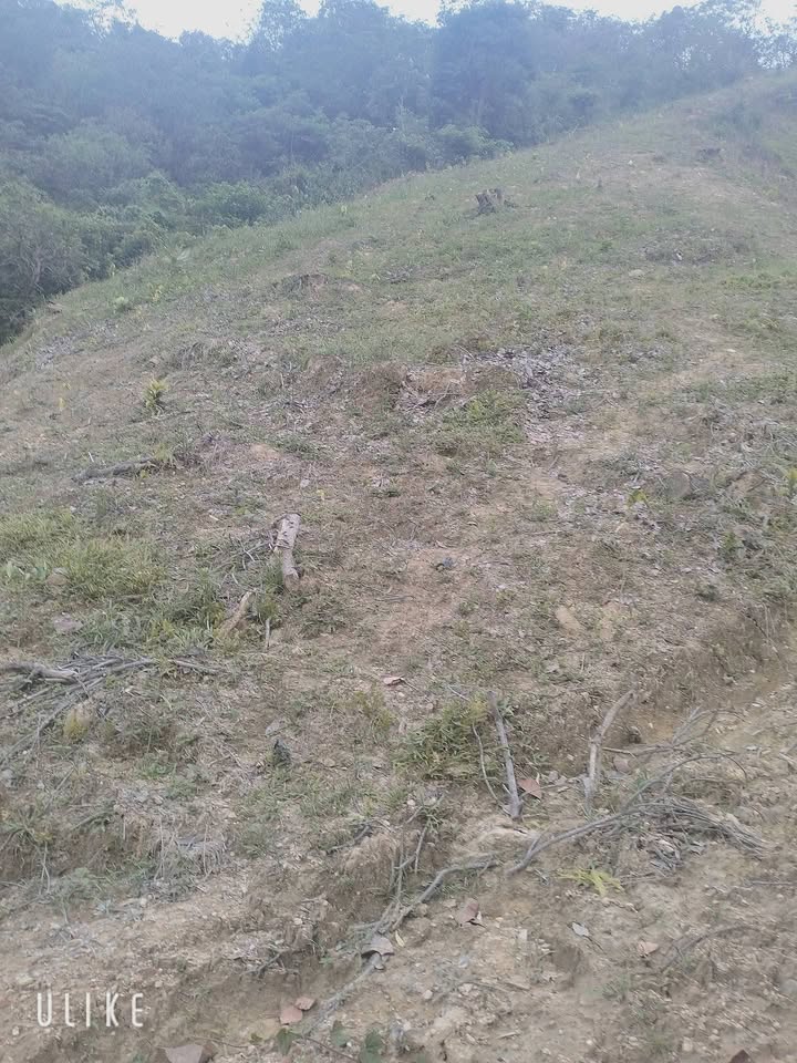 Đất nền 1ha tại Mỹ Đức, Đạ Tẻh chỉ 220 triệu - Cơ hội đầu tư tuyệt vời!