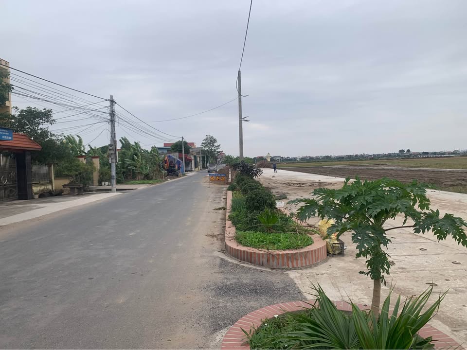 Đất nền dự án Đông La Hoài Đức 90m² giá 1 tỷ - Cơ hội đầu tư hấp dẫn!