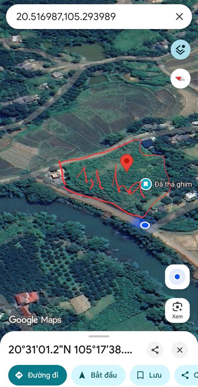 Đất Farm 1,1ha tại Gia Mô, Tân Lạc, Hòa Bình - Phù hợp làm homestay!