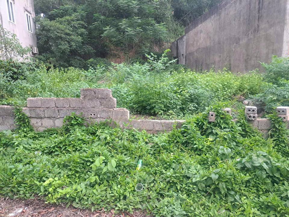 Lô đất Tân Lương - Đông Lĩnh, TP. Thanh Hóa 140m² giá 2 tỷ - Đầu tư sinh lời ngay!