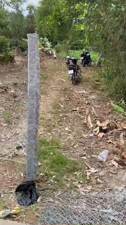 Đất mặt tiền ấp 4, xã Phong Thạnh, 228m² chỉ 155 triệu - Cơ hội đầu tư hiếm có!