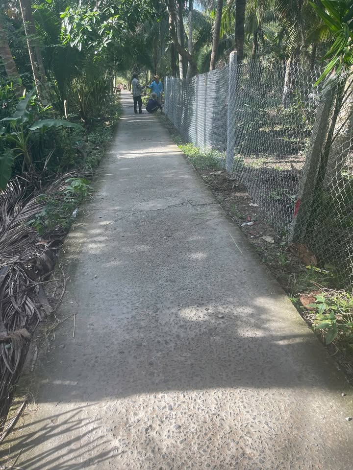 Đất mặt tiền lộ đan 944m² tại ấp Ô Chích, Trà Vinh - Giá chỉ 320 triệu, thương lượng!