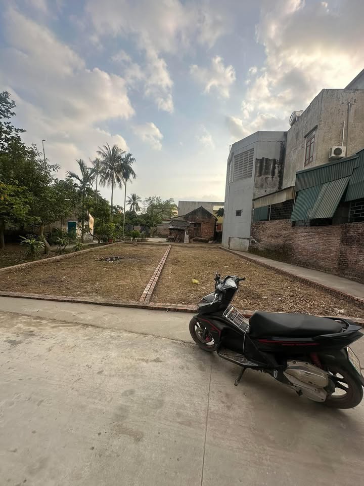 Đất thổ cư Thanh An, Hải Phòng 80m² - Cơ hội đầu tư sinh lời!