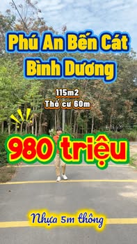 Đất nền Phú An Bến Cát 115m² giá chỉ 980 triệu - Cơ hội đầu tư tuyệt vời!