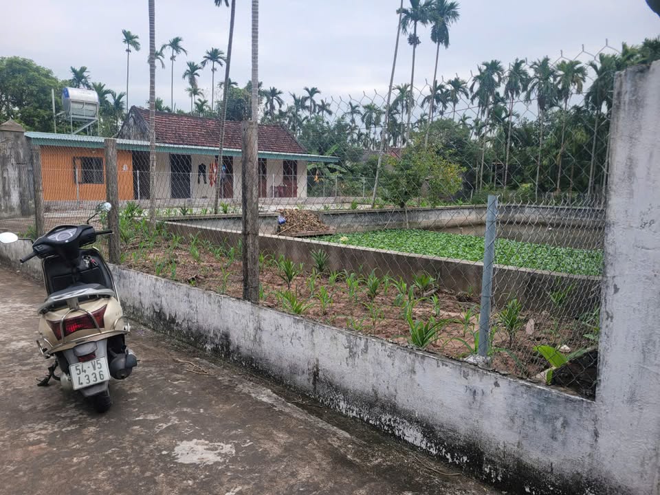 Đất thổ cư Hải Sơn 607m² giá 2 tỷ - Cuộc sống an yên chờ đón!