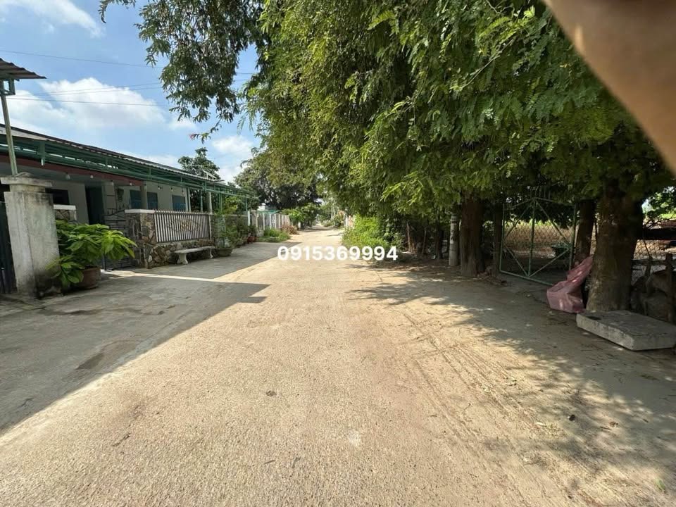 Đất thổ cư An Hải, Ninh Phước 138m² giá 1.35 tỷ - Chính chủ bán ngay!