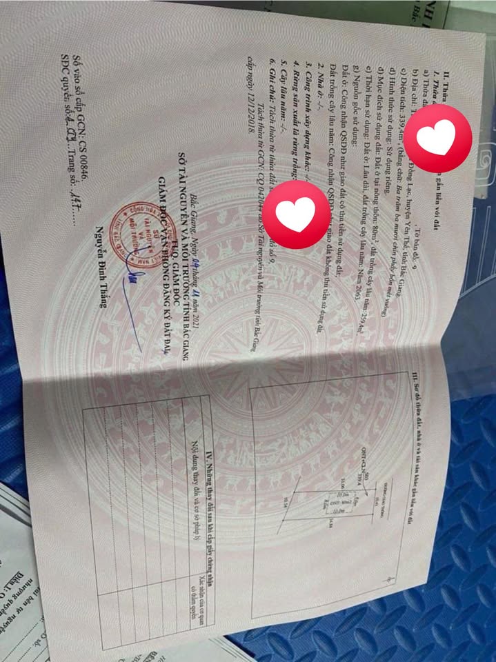 Đất thổ cư Đồng Lạc Yên Thế 339.4m² giá 600 triệu - Cắt lỗ nhanh chóng!