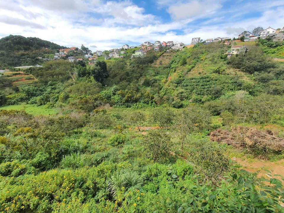 Đất nền Hoàng Hoa Thám Đà Lạt 524m² giá 3.2 tỷ - View thung lũng đẹp!