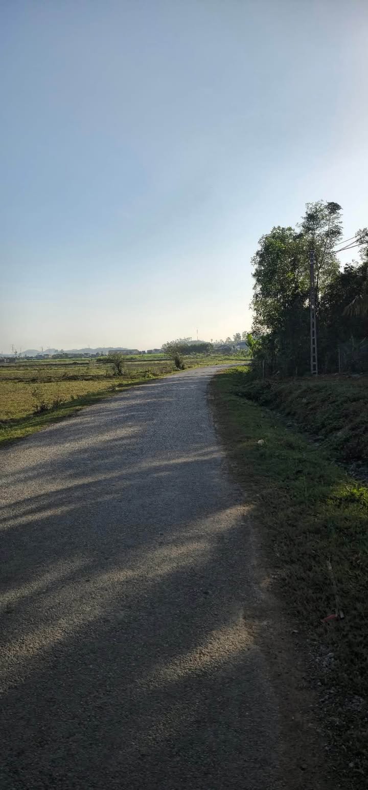 Đất liền kề Ngọc Sơn, Quỳnh Lưu 224m² giá 1.4 tỷ - Pháp lý rõ ràng, vị trí đắc địa!