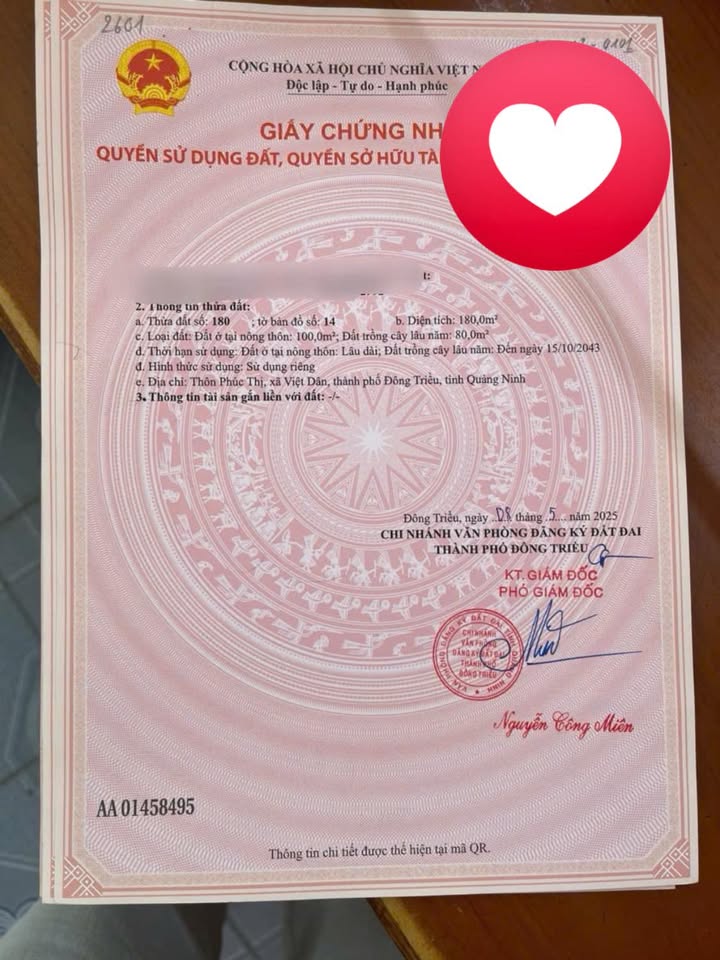 Đất nền chính chủ Đông Triều 180m² giá chỉ 400 triệu - Cơ hội đầu tư hấp dẫn!