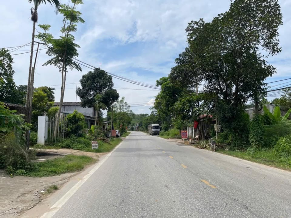 Đất mặt đường Quốc Lộ 2D, Yên Bình 75m² - Vị trí kinh doanh đắc địa!